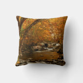 テネシー州、アメリカ。ラッシングマウンテンクリーク3 クッション (裏面)