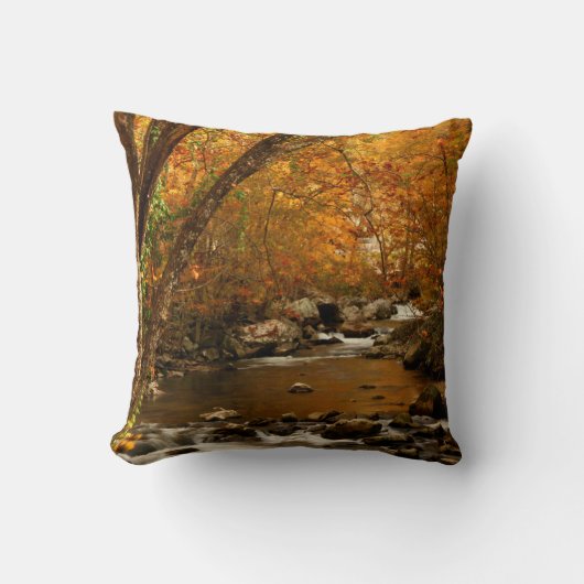 テネシー州、アメリカ。ラッシングマウンテンクリーク3 クッション (正面)