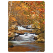 テネシー州、アメリカ。ラッシングマウンテンクリーク クリップボード (裏面)