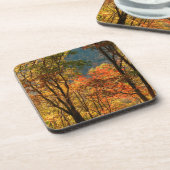 テネシー州、アメリカ。秋の葉 コースター (左側)