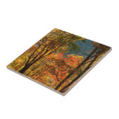 テネシー州、アメリカ。秋の葉 タイル (側面)