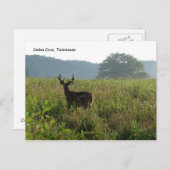 テネシー州，カデス・コーブ ポストカード (正面/裏面)