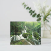 テネシー州，ローレル秋 ポストカード (スタンド正面)