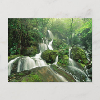 テネシー州，ローレル秋 ポストカード