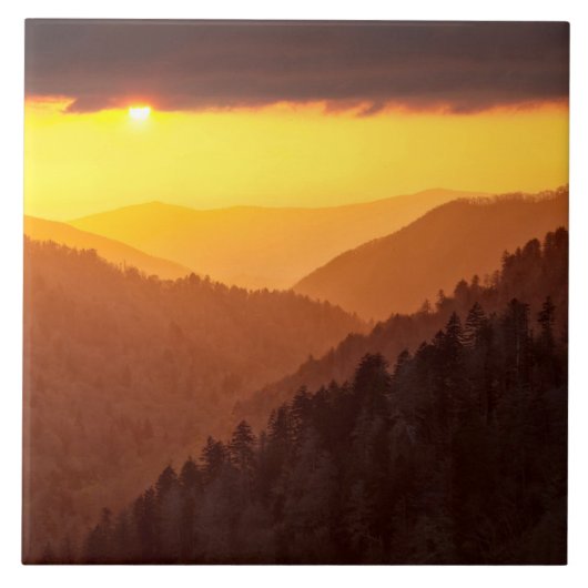 テネシー州、雲が谷を埋める タイル (正面)