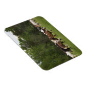 テネシー州，馬の群れ マグネット (右側)