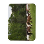 テネシー州，馬の群れ マグネット (縦)