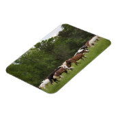 テネシー州，馬の群れ マグネット (左側)