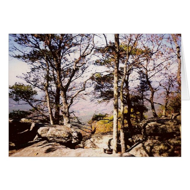 テネシー州Wilds (正面横)