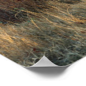 テネシー朝 ポスター (角)