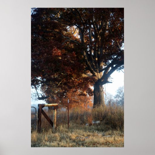 テネシー朝 ポスター (正面)