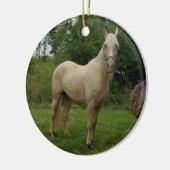 テネシー歩くホースオーナメント セラミックオーナメント (左)