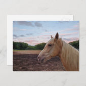 テネシー歩くホース ポストカード (正面/裏面)