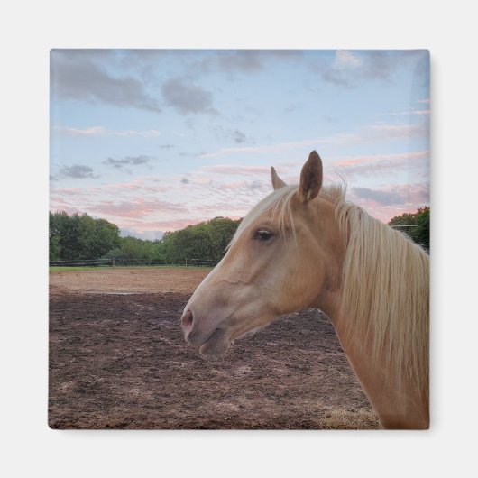 テネシー歩くホース マグネット (正面)