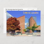 テネシー水族館 – チャタヌーガ， TN. ポストカード (正面/裏面)