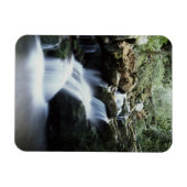 テネシー素晴らしスモークマウンテンズ国立公園3 マグネット (横)