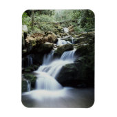 テネシー素晴らしスモークマウンテンズ国立公園3 マグネット (縦)