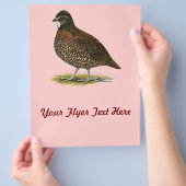 テネシー赤ウズラ チラシ (手)