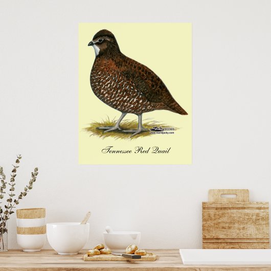 テネシー赤ウズラ ポスター (キッチン)