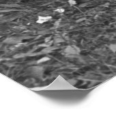 テネシー通りミュージシャン, 1935 ポスター (角)