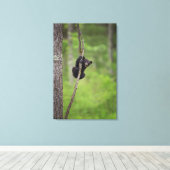 テネシー遊ズ・ブラック・ベア・カッブ キャンバスプリント (インサイチュ (ウッドフロア))