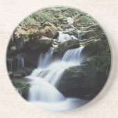 テネシー、スモ素晴らしーキー山脈国立公園3 コースター (正面)