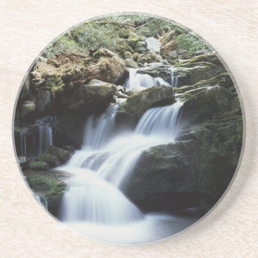 テネシー、スモ素晴らしーキー山脈国立公園3 コースター (正面)