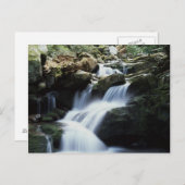 テネシー、スモ素晴らしーキー山脈国立公園3 ポストカード (正面/裏面)