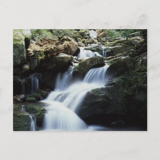 テネシー、スモ素晴らしーキー山脈国立公園3 ポストカード (正面)