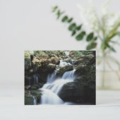 テネシー、スモ素晴らしーキー山脈国立公園3 ポストカード (スタンド正面)