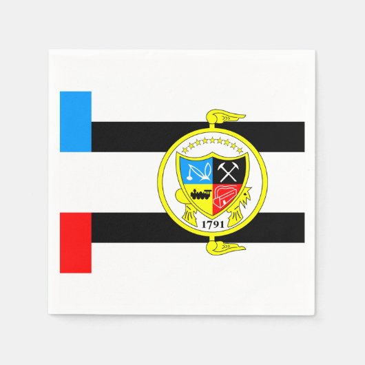 テネシー・ノックスビル国旗 スタンダードカクテルナプキン (正面)