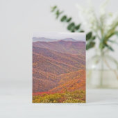 テネシー ポストカード (スタンド正面)