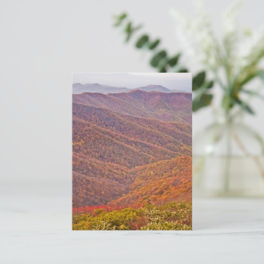 テネシー ポストカード (スタンド正面)