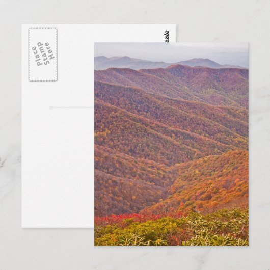 テネシー ポストカード (正面/裏面)