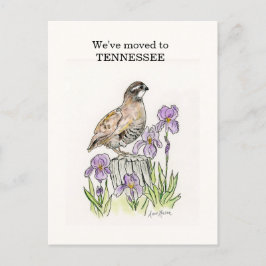 テネシー ポストカード