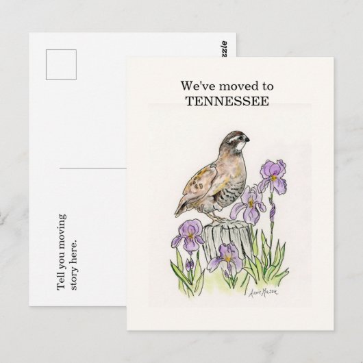 テネシー ポストカード (正面/裏面)