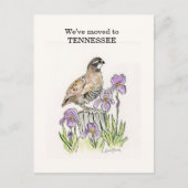 テネシー ポストカード (正面)