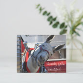 テネシー・モル葉書からハウディ ポストカード (スタンド正面)