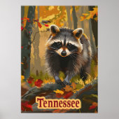 テネシー・ラクーン ポスター (正面)