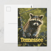 テネシー・ラクーン ポストカード (正面/裏面)