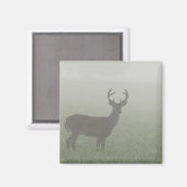 テネセ素晴らしスのスモーク山脈の国立公園 マグネット (正面/裏面)