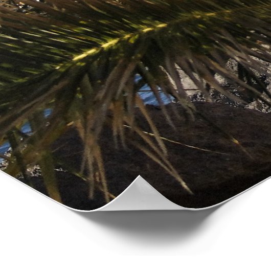 テネリファ ポスター (角)