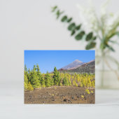 テネリフェのテイデ国立公園風景 ポストカード (スタンド正面)