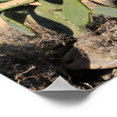 テネリフェビーチの空中表示 ポスター (角)