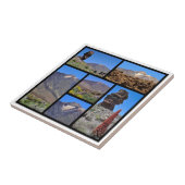 テネリフェ島の山・テイデの複数の写真 タイル (側面)