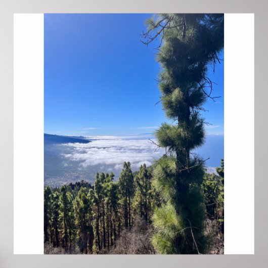 テネリフェ至福… ポスター (正面)