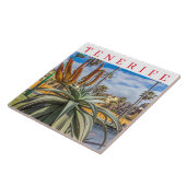 テネリフェ・アロエ・ベラ植物陶磁器タイル タイル (側面)