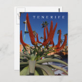 テネリフェ・アロエ・ヴェラ花ビューポストカード ポストカード (正面/裏面)