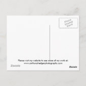 テヒア – シベリアハスキー ポストカード (裏面)