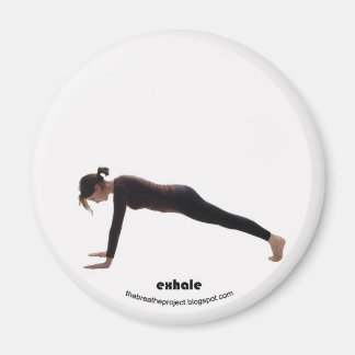 テヘテプロジェクト5of12 マグネット